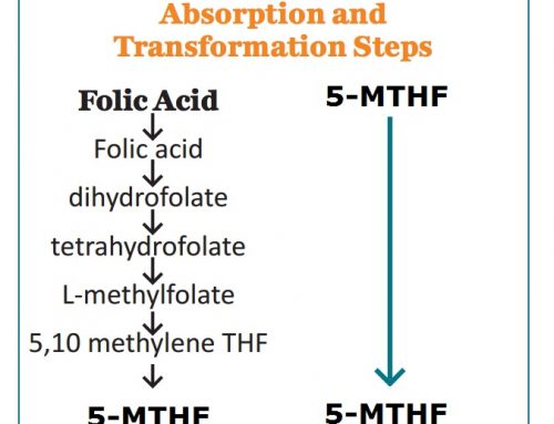 5-MTHF tốt hơn acid folic qua chứng minh khoa học