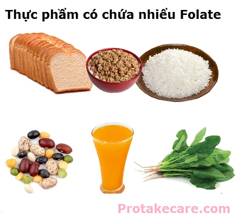 Thực phẩm nào có chứa nhiều Folate. Axit folic - Protake Care
